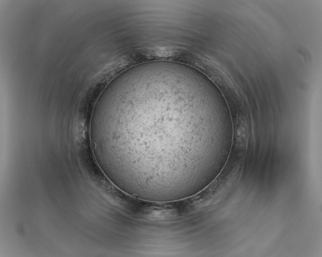 X0000112780555200908271706