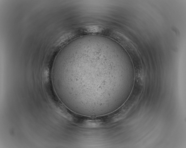 X0000112780556200908271706