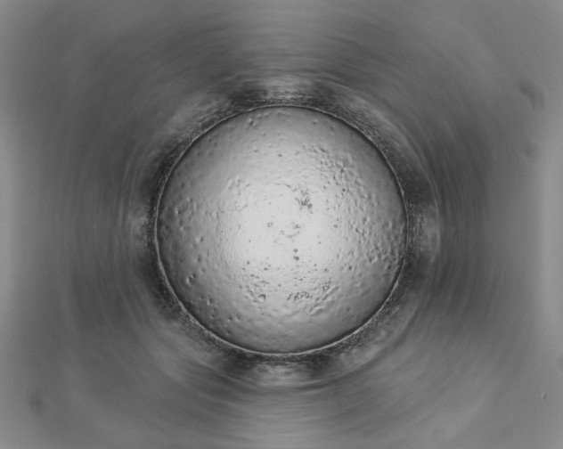 X0000112780557200908271706