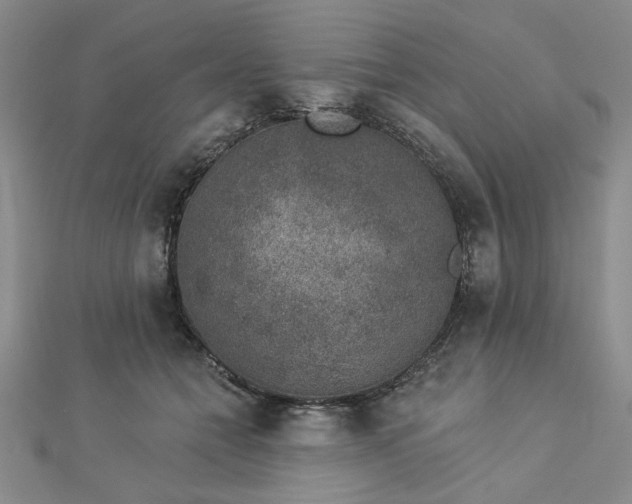 X0000112780558200908271706