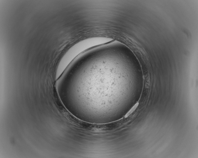 X0000112780560200908271706