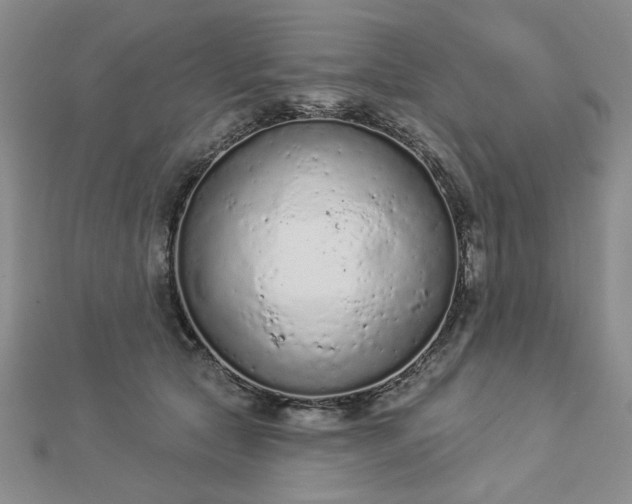 X0000112780561200908271706