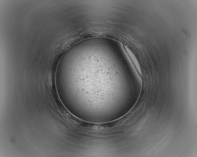 X0000112780562200908271706