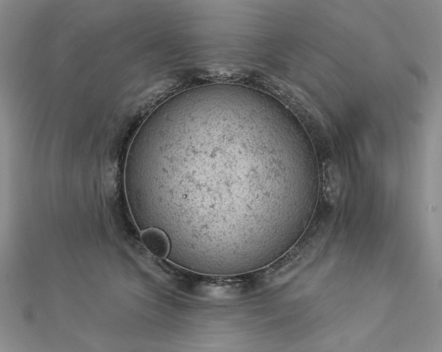 X0000112780563200908271706