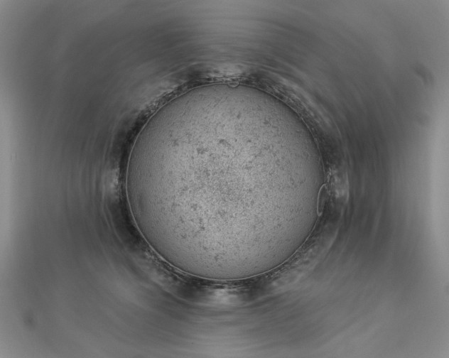 X0000112780564200908271706