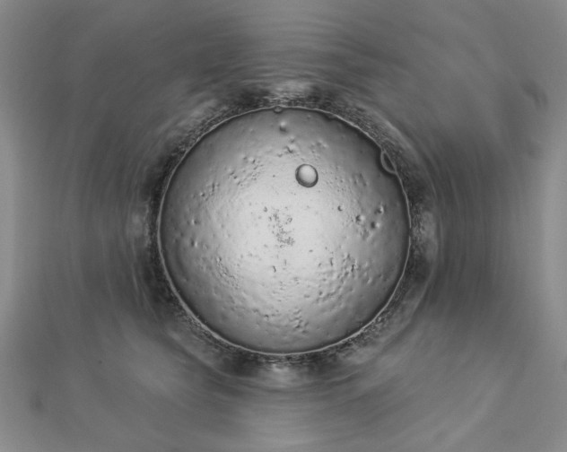 X0000112780565200908271706