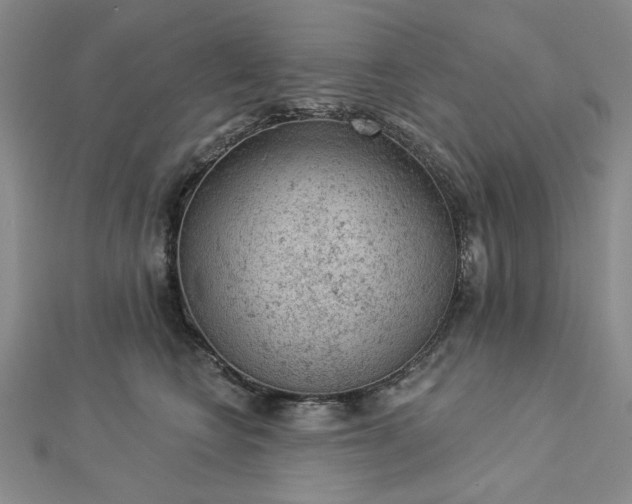 X0000112780566200908271706