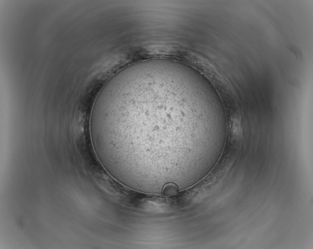 X0000112780567200908271706