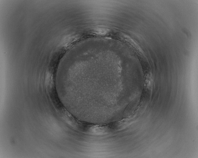 X0000112780568200908271706