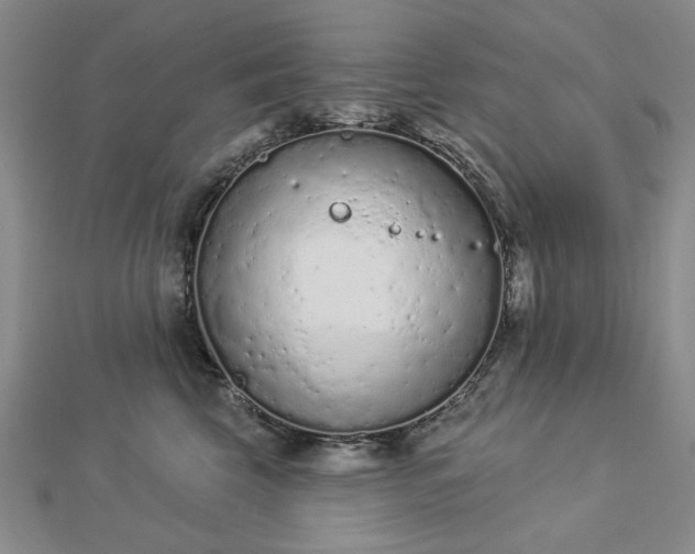 X0000112780569200908271706