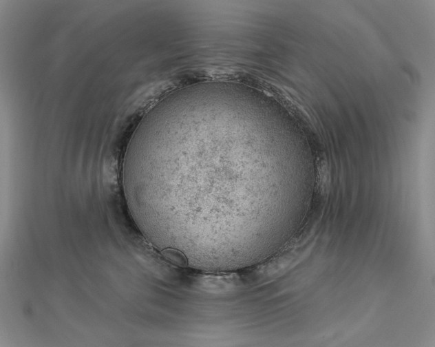 X0000112780571200908271706