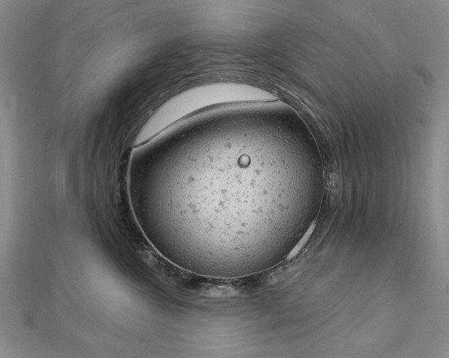 X0000112780572200908271706