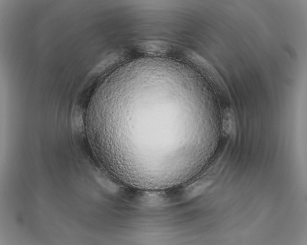 X0000112780573200908271706