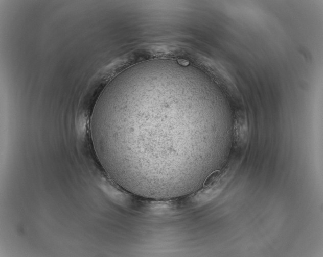 X0000112780574200908271706