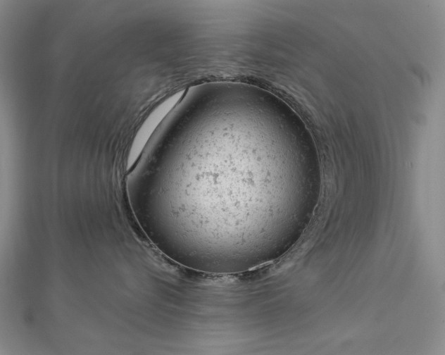 X0000112780576200908271706