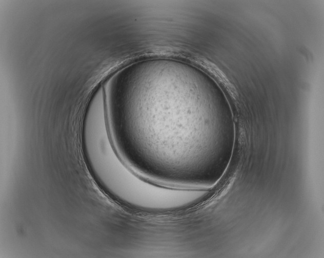 X0000112780577200908271705