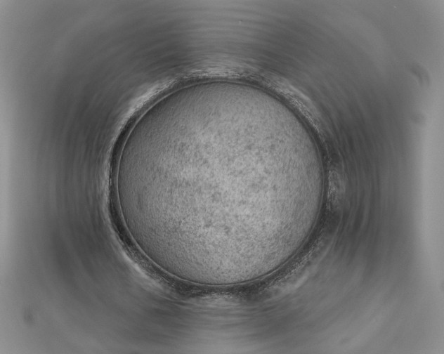 X0000112780578200908271705