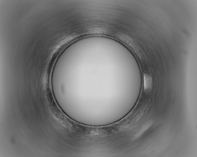 X0000112780579200908271705