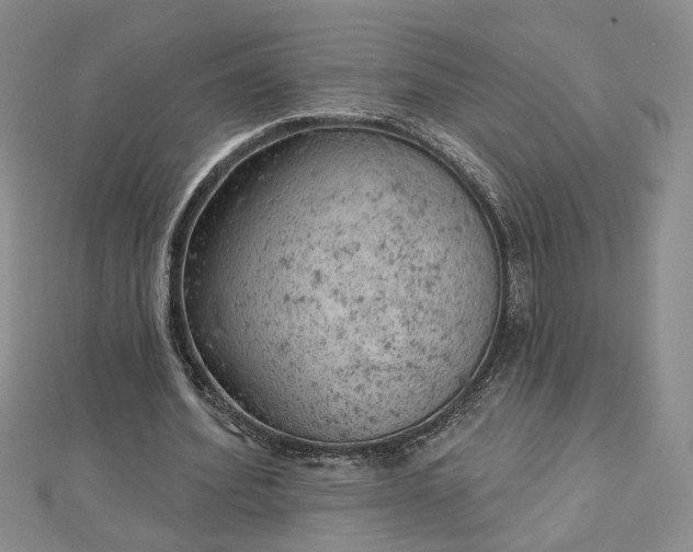 X0000112780580200908271705