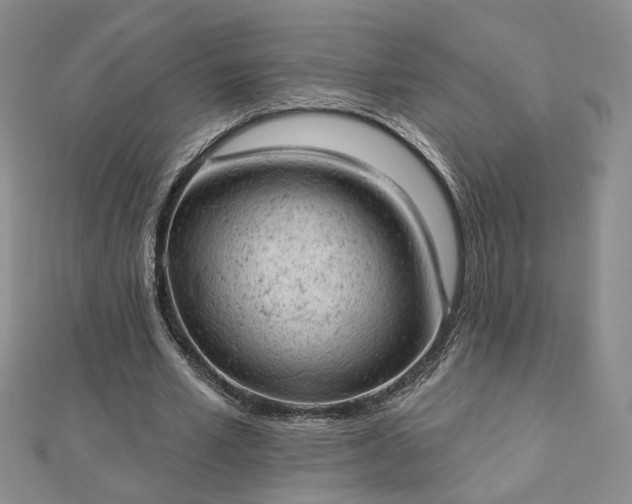 X0000112780581200908271705