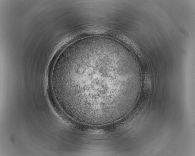 X0000112780582200908271705