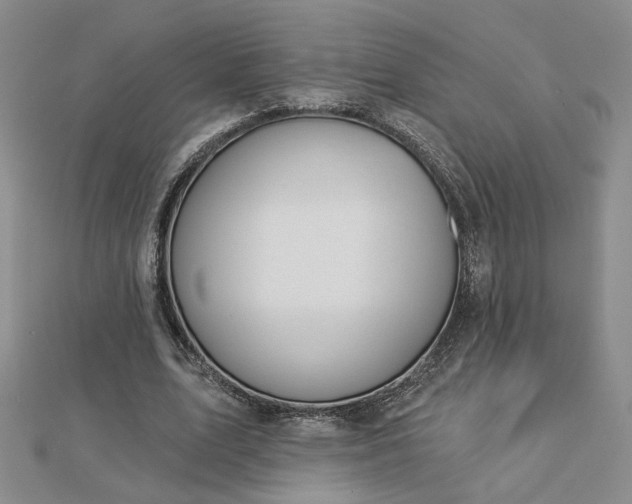 X0000112780583200908271705