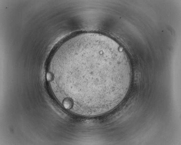 X0000112780584200908271705