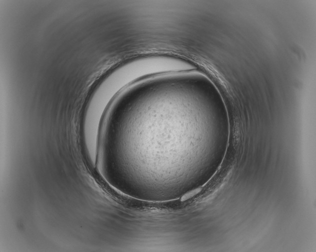 X0000112780585200908271705