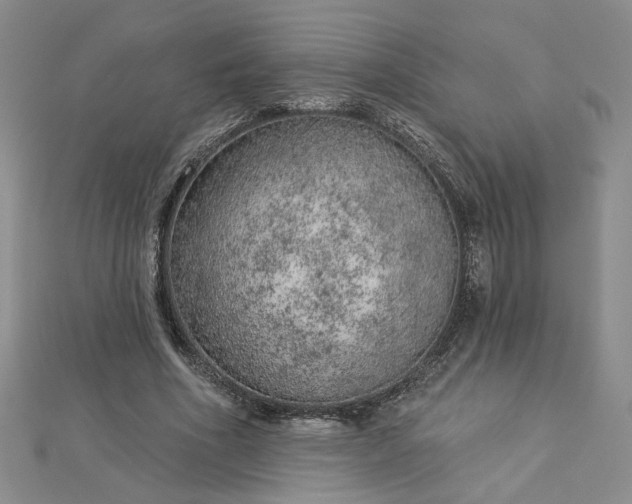 X0000112780586200908271705