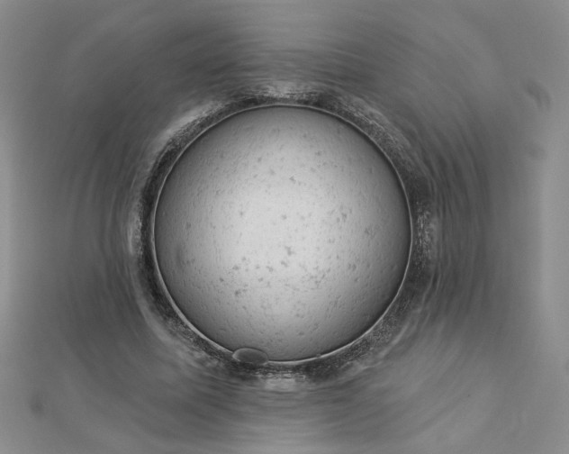 X0000112780587200908271705