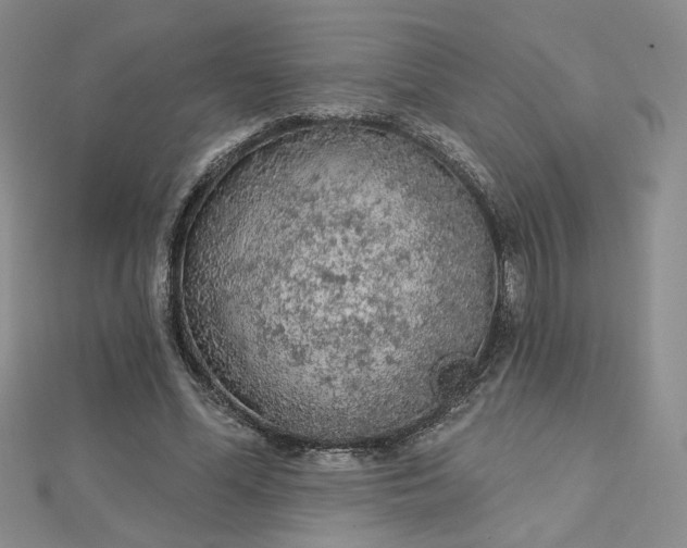 X0000112780588200908271705