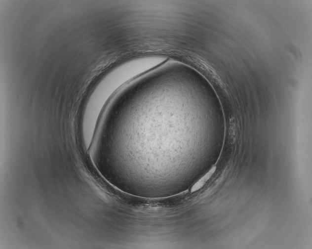 X0000112780589200908271705