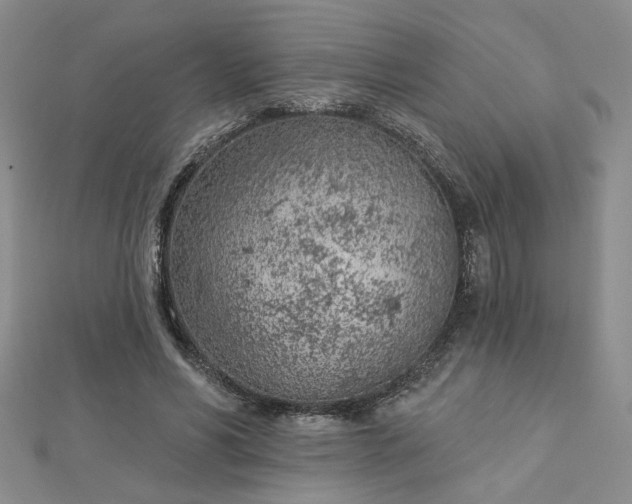 X0000112780590200908271705