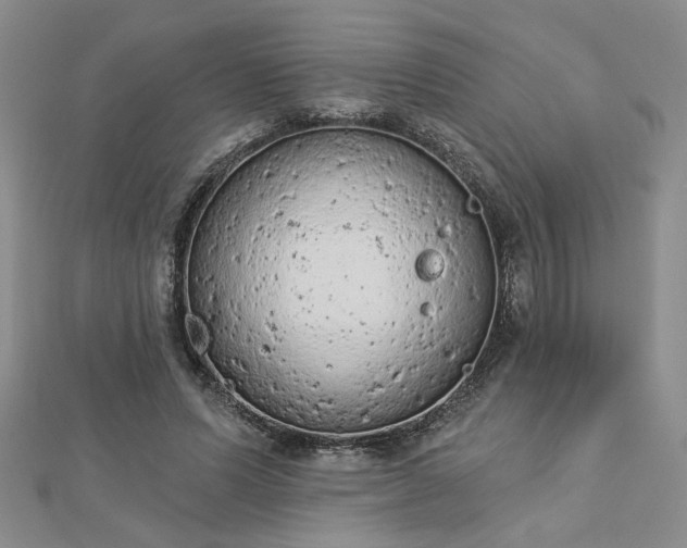 X0000112780591200908271705