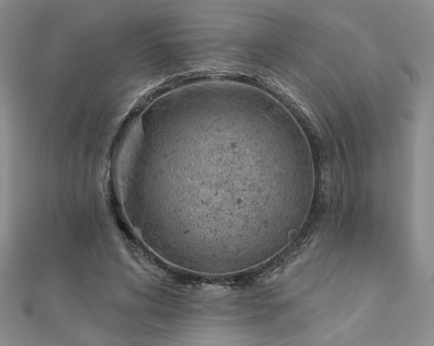 X0000112780592200908271705