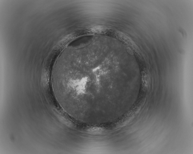 X0000112780593200908271705