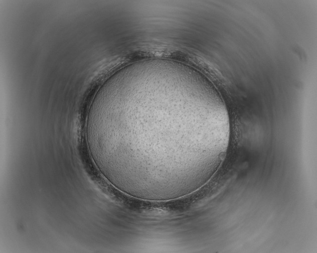 X0000112780594200908271705