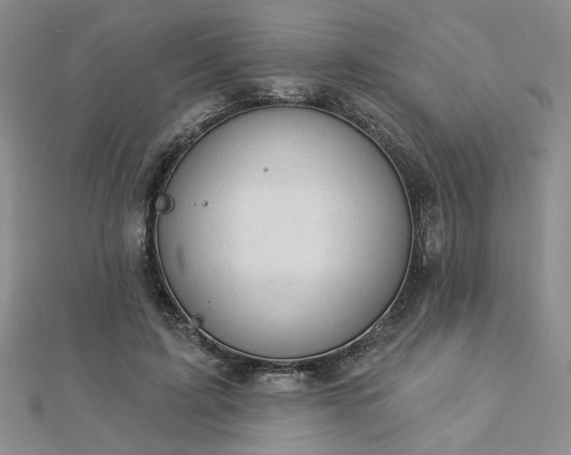 X0000112780595200908271705