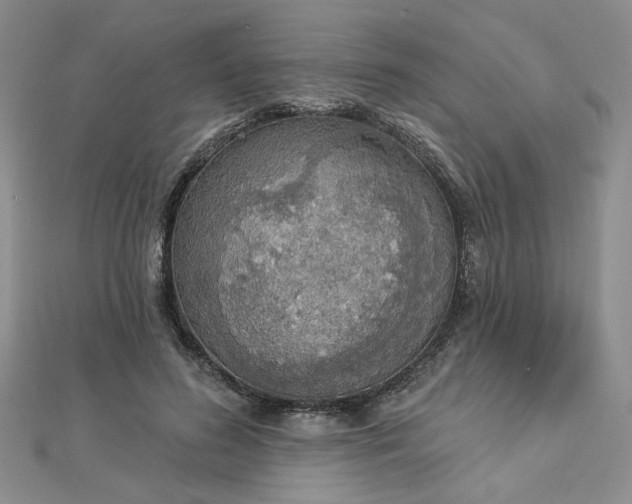 X0000112780596200908271705