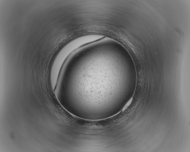 X0000112780597200908271705