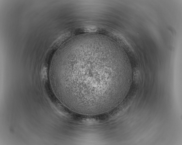 X0000112780598200908271705