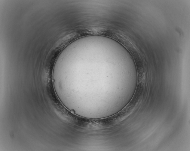 X0000112780599200908271705