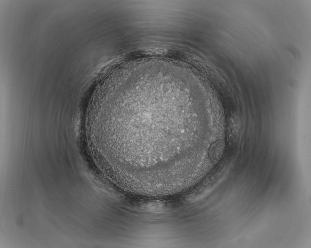 X0000112780600200908271705