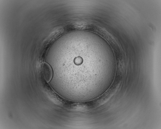 X0000112780601200908271705