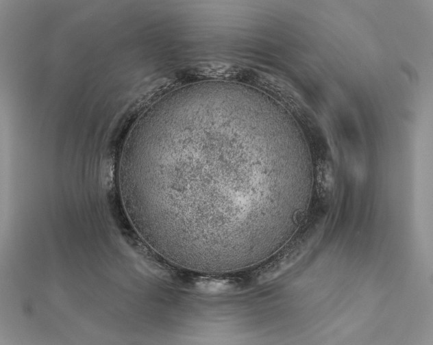 X0000112780602200908271705