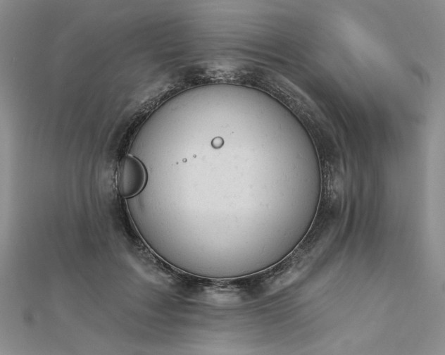 X0000112780603200908271705