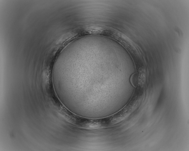 X0000112780604200908271705