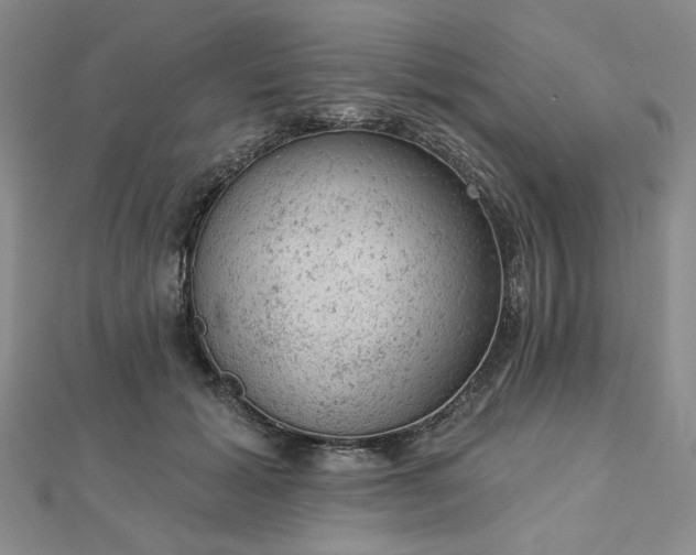 X0000112780605200908271705