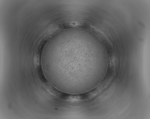 X0000112780606200908271705