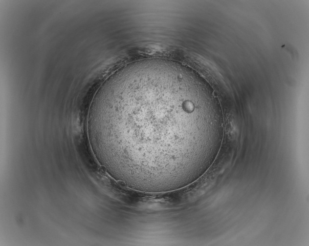 X0000112780607200908271705